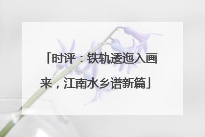 时评：铁轨逶迤入画来，江南水乡谱新篇