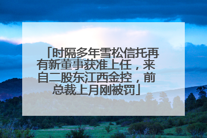 时隔多年雪松信托再有新董事获准上任，来自二股东江西金控，前总裁上月刚被罚