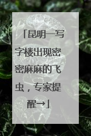 昆明一写字楼出现密密麻麻的飞虫，专家提醒→