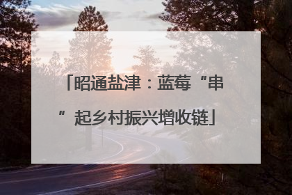 昭通盐津：蓝莓“串”起乡村振兴增收链
