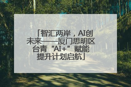 智汇两岸，AI创未来——厦门思明区台青“AI+”赋能提升计划启航