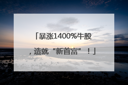 暴涨1400%牛股，造就“新首富”！