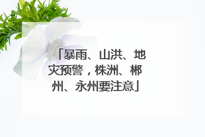 暴雨、山洪、地灾预警，株洲、郴州、永州要注意