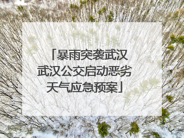 暴雨突袭武汉 武汉公交启动恶劣天气应急预案