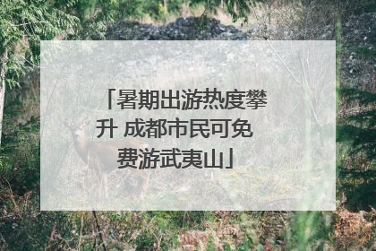 暑期出游热度攀升 成都市民可免费游武夷山