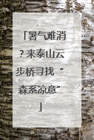 暑气难消？来泰山云步桥寻找“森系凉意”