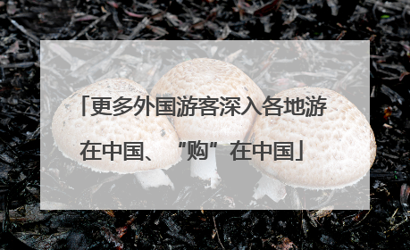 更多外国游客深入各地游在中国、“购”在中国