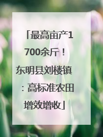 最高亩产1700余斤！东明县刘楼镇：高标准农田增效增收