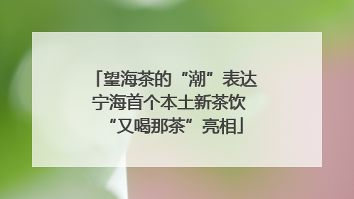 望海茶的“潮”表达 宁海首个本土新茶饮“又喝那茶”亮相