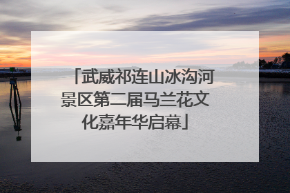 武威祁连山冰沟河景区第二届马兰花文化嘉年华启幕