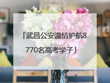 武昌公安温情护航8770名高考学子
