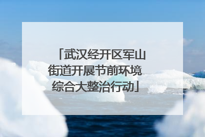 武汉经开区军山街道开展节前环境综合大整治行动