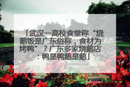 武汉一高校食堂称“烧鹅饭是广东俗称，食材为烤鸭”？广东多家烧鹅店：鸭是鸭鹅是鹅