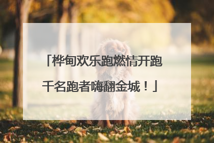桦甸欢乐跑燃情开跑 千名跑者嗨翻金城！