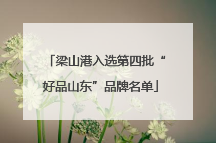梁山港入选第四批“好品山东”品牌名单