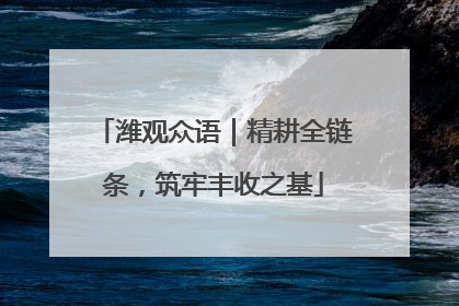 潍观众语｜精耕全链条，筑牢丰收之基