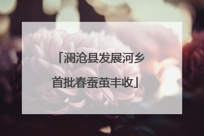 澜沧县发展河乡首批春蚕茧丰收