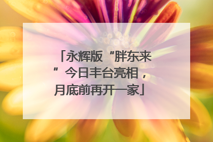 永辉版“胖东来”今日丰台亮相，月底前再开一家