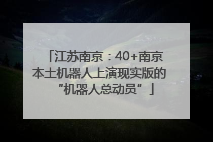 江苏南京：40+南京本土机器人上演现实版的“机器人总动员”