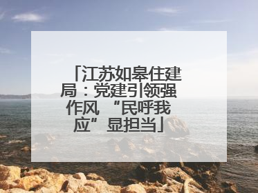江苏如皋住建局：党建引领强作风 “民呼我应”显担当