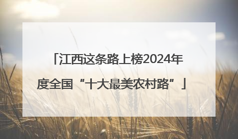 江西这条路上榜2024年度全国“十大最美农村路”