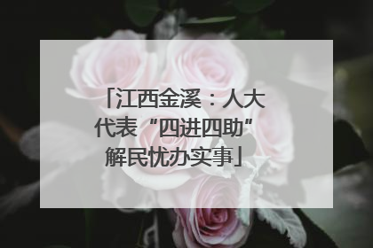 江西金溪：人大代表“四进四助”解民忧办实事
