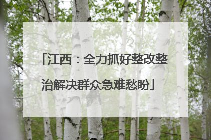 江西：全力抓好整改整治解决群众急难愁盼