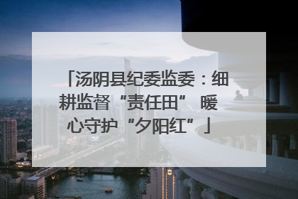 汤阴县纪委监委：细耕监督“责任田” 暖心守护“夕阳红”