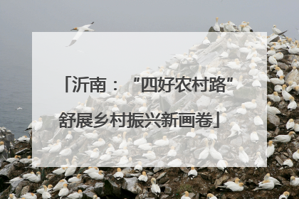 沂南：“四好农村路”舒展乡村振兴新画卷