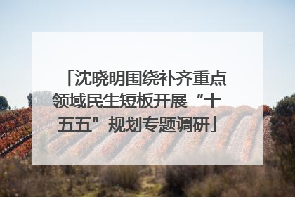 沈晓明围绕补齐重点领域民生短板开展“十五五”规划专题调研