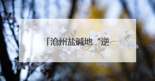 沧州盐碱地“逆天改命”：无用之地变良田，候鸟翔集水草丰美