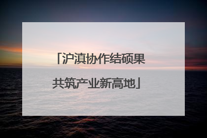 沪滇协作结硕果 共筑产业新高地