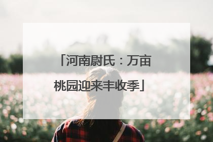 河南尉氏：万亩桃园迎来丰收季