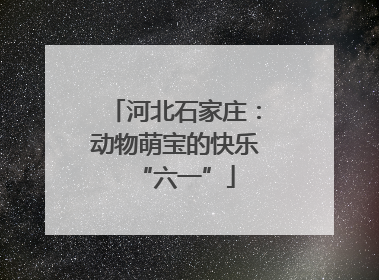 河北石家庄：动物萌宝的快乐“六一”