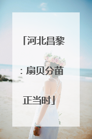 河北昌黎：扇贝分苗正当时
