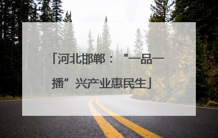 河北邯郸：“一品一播”兴产业惠民生