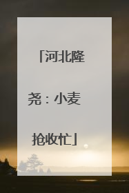 河北隆尧：小麦抢收忙