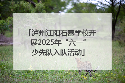 泸州江阳石寨学校开展2025年“六一”少先队入队活动