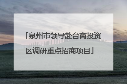 泉州市领导赴台商投资区调研重点招商项目
