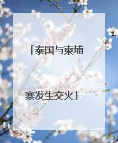 泰国与柬埔寨发生交火