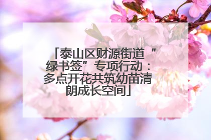 泰山区财源街道“绿书签”专项行动：多点开花共筑幼苗清朗成长空间