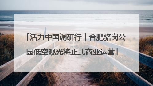 活力中国调研行｜合肥骆岗公园低空观光将正式商业运营