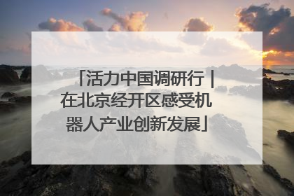 活力中国调研行｜在北京经开区感受机器人产业创新发展
