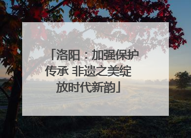 洛阳：加强保护传承 非遗之美绽放时代新韵