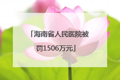 海南省人民医院被罚1506万元