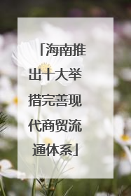 海南推出十大举措完善现代商贸流通体系