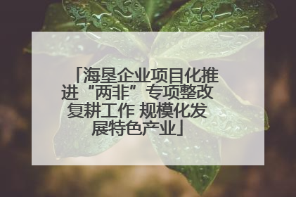 海垦企业项目化推进“两非”专项整改复耕工作 规模化发展特色产业