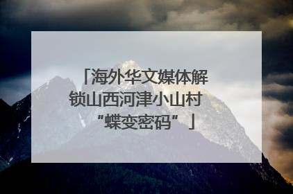 海外华文媒体解锁山西河津小山村“蝶变密码”