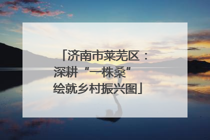 济南市莱芜区：深耕“一株桑” 绘就乡村振兴图