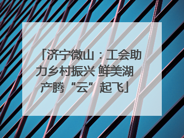济宁微山：工会助力乡村振兴 鲜美湖产腾“云”起飞